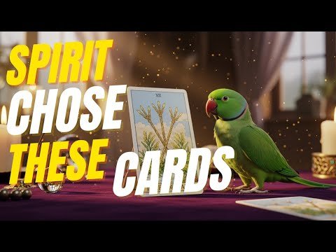 Spirit Chose These Cards For You — And They’re Not Holding Back Spirit Chose These Cards For You — And They’re Not Holding Back